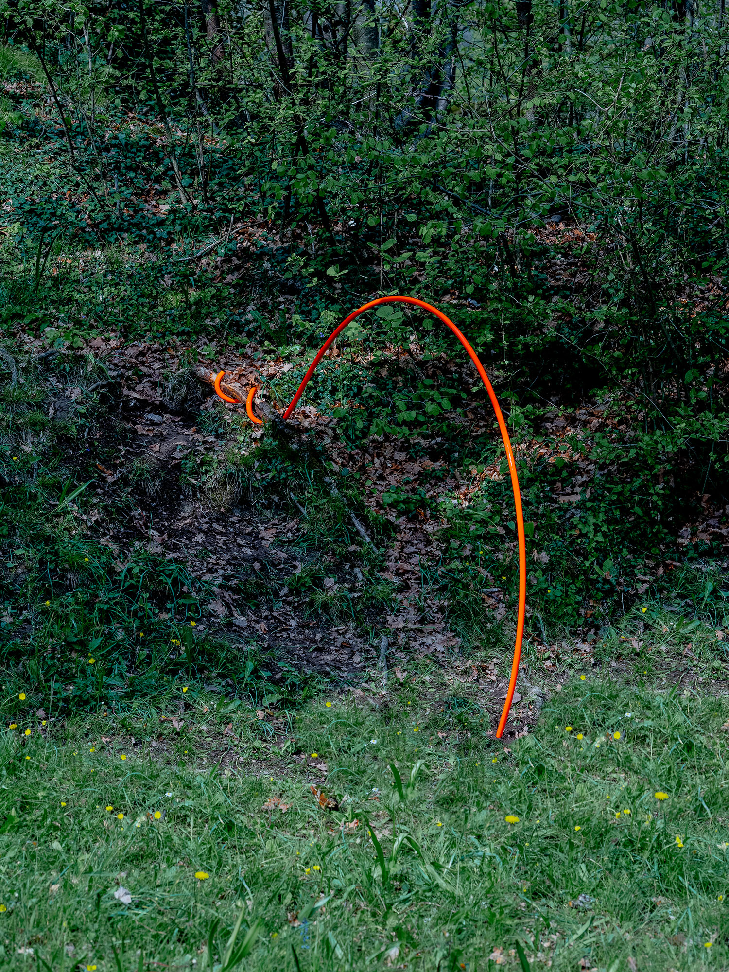 Serpents et Échelles