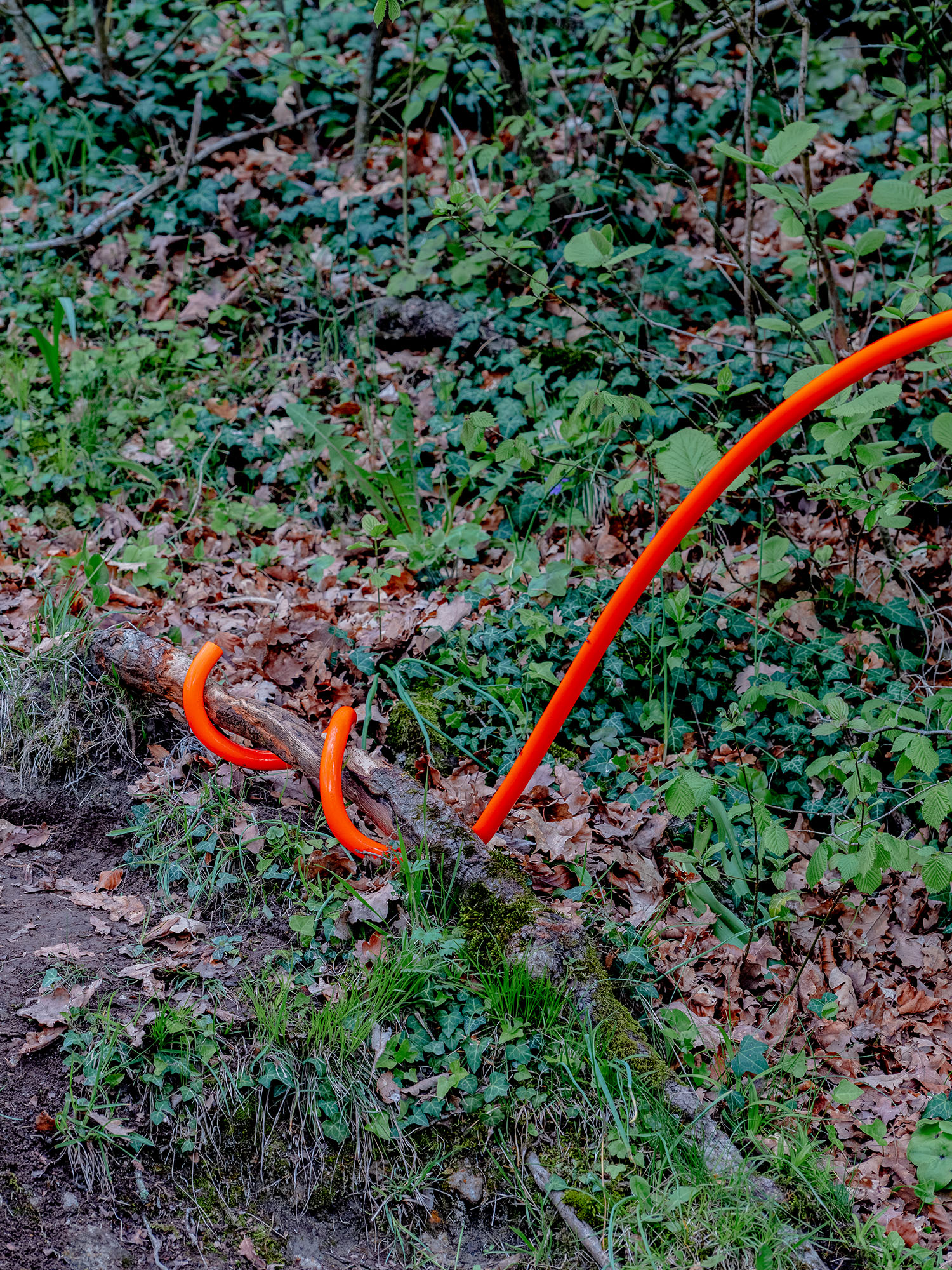 Serpents et Échelles