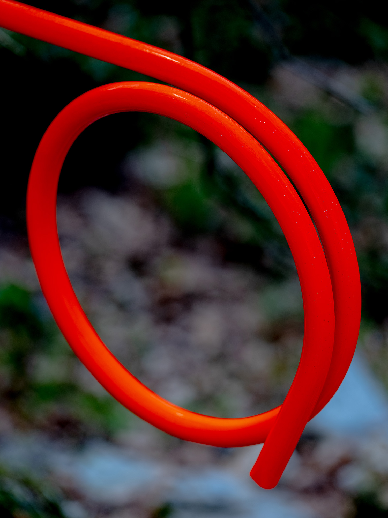 Serpents et Échelles