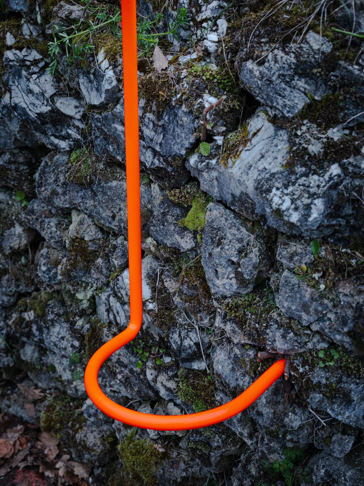 Snakes & Ladders